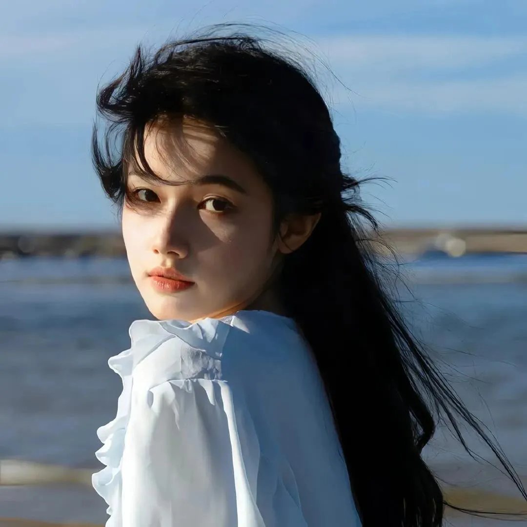 海鸥